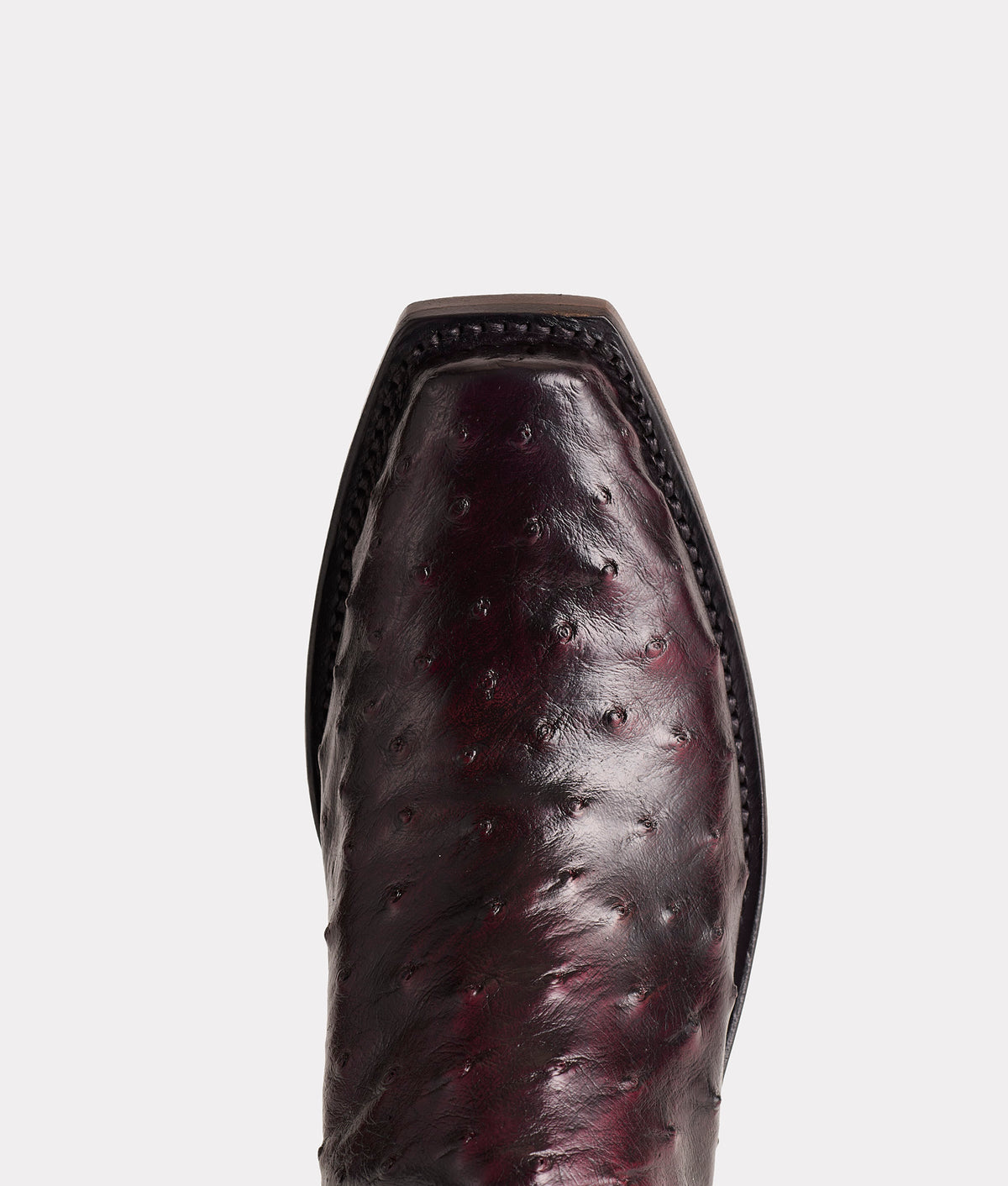 Josephine :: Black Cherry 6