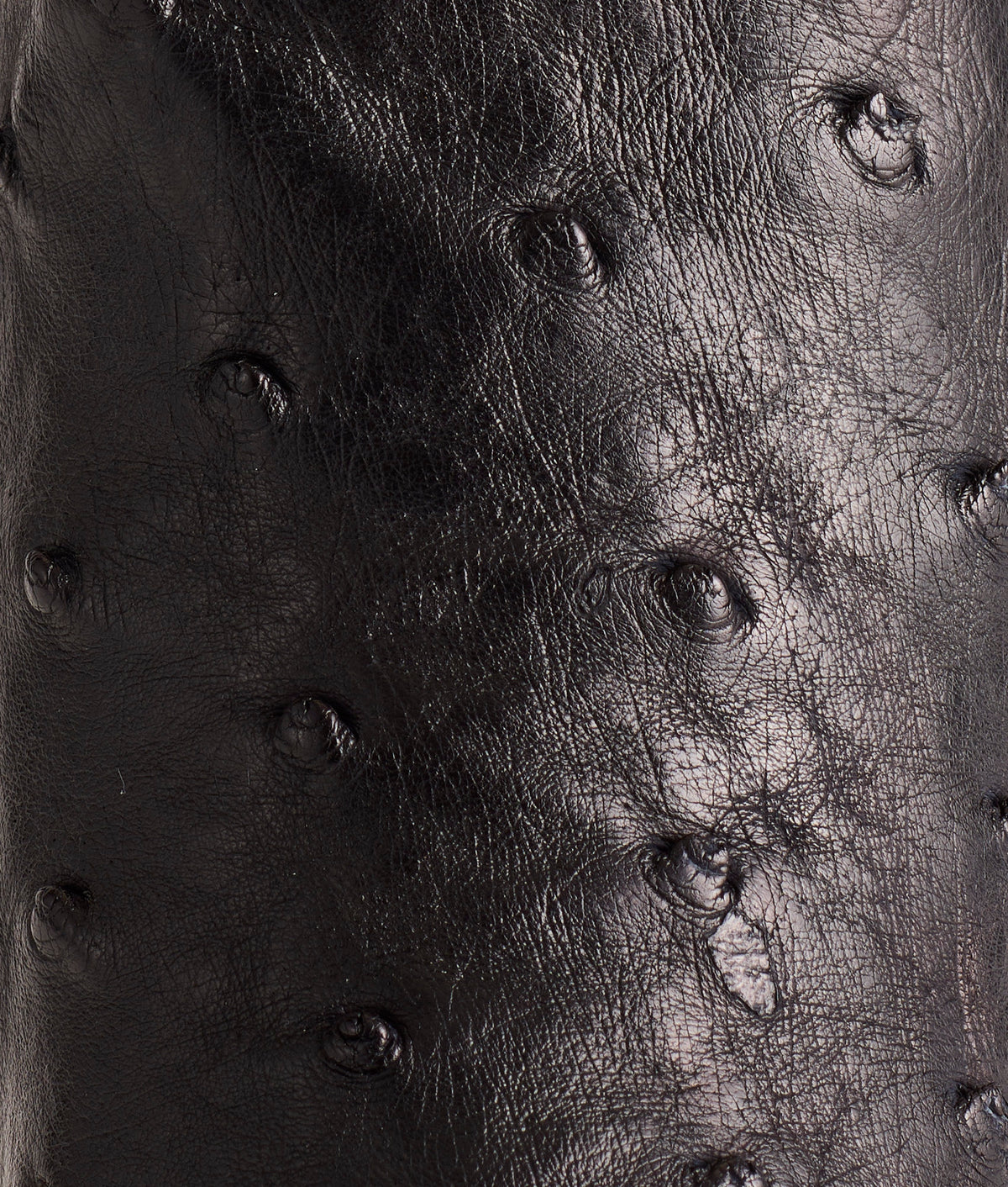 Josephine :: Black + Anthracite Grey 7