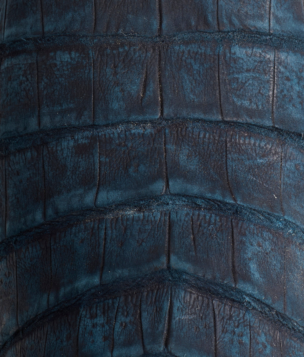 Priscilla Exotic :: Navy 10