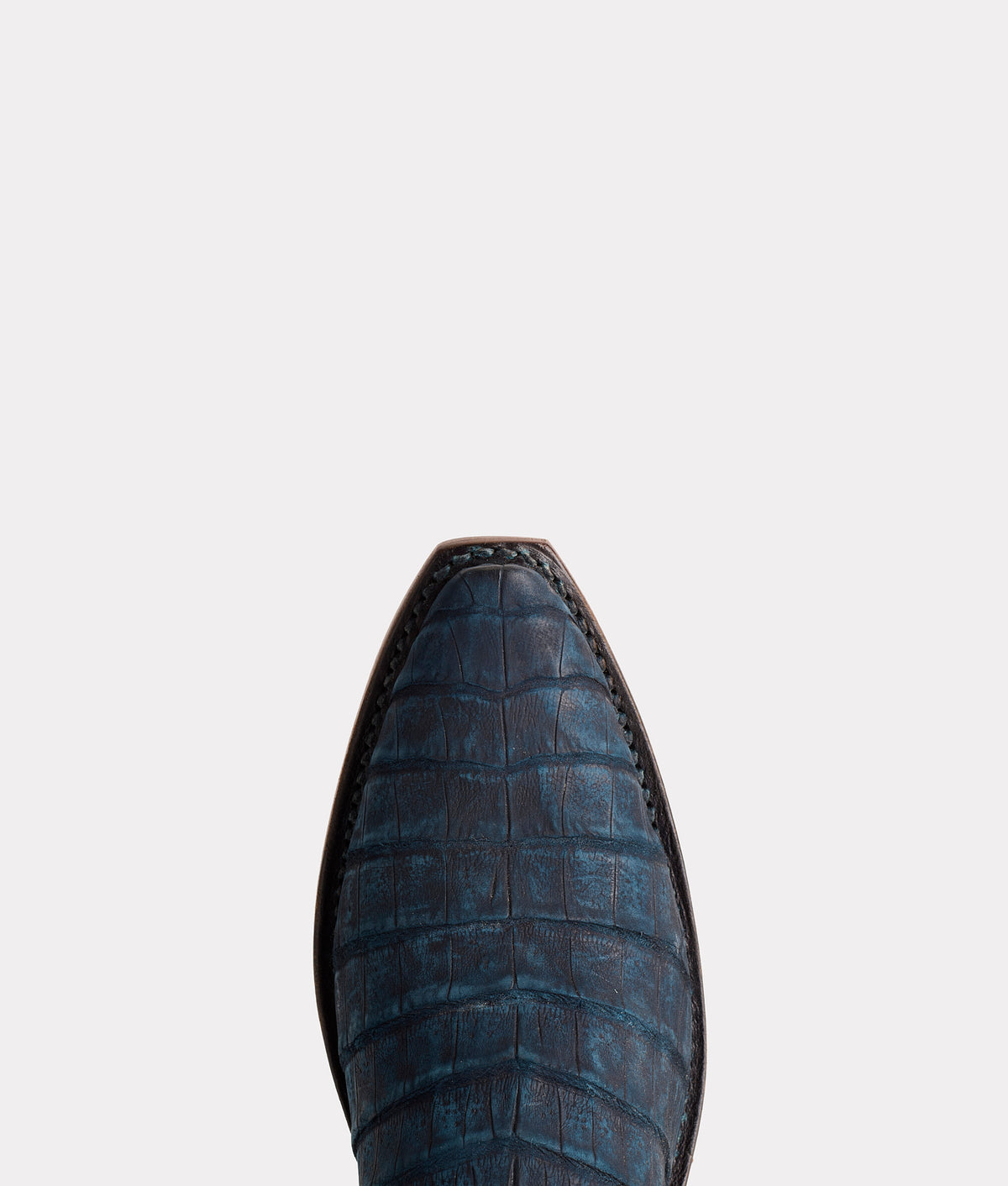 Priscilla Exotic :: Navy 8