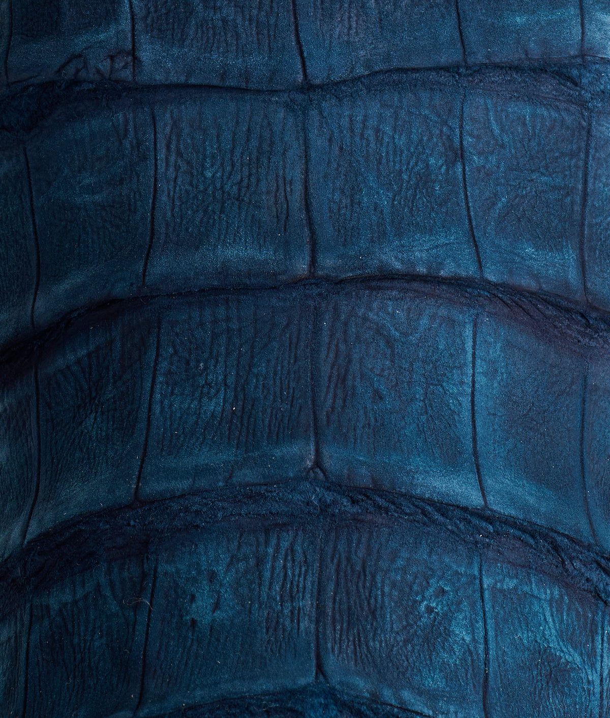 Dale Exotic :: Navy 10