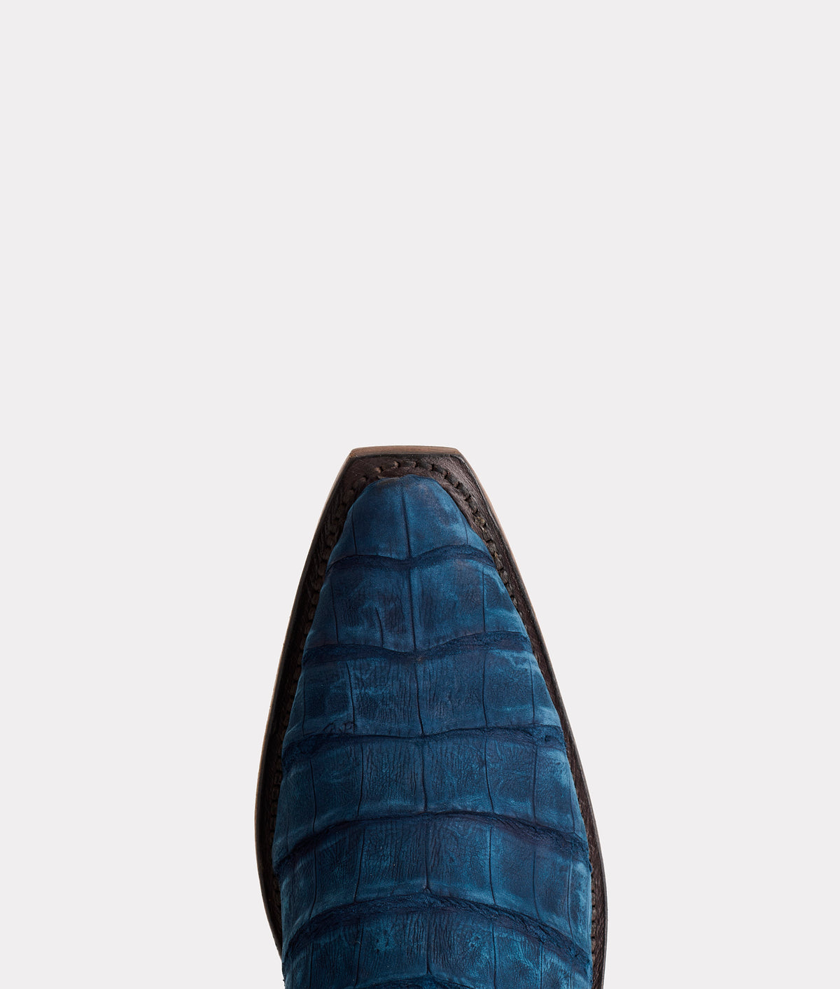 Dale Exotic :: Navy 8