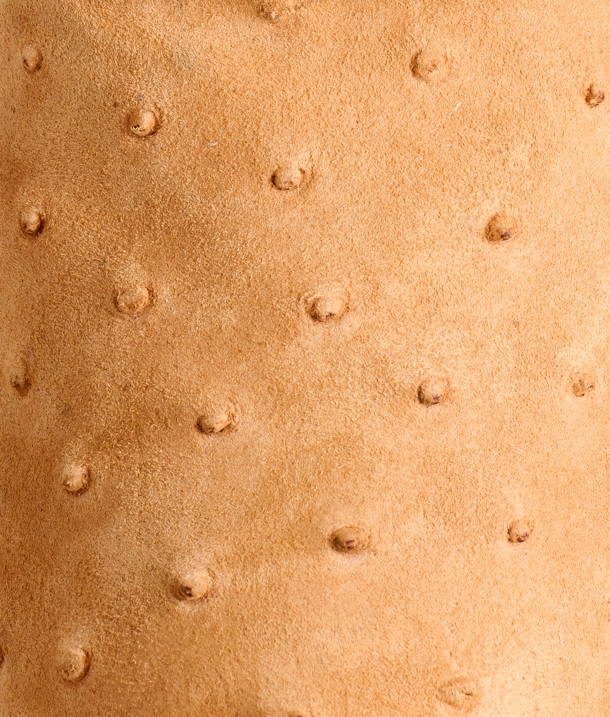 Sweetheart :: Brandy 10