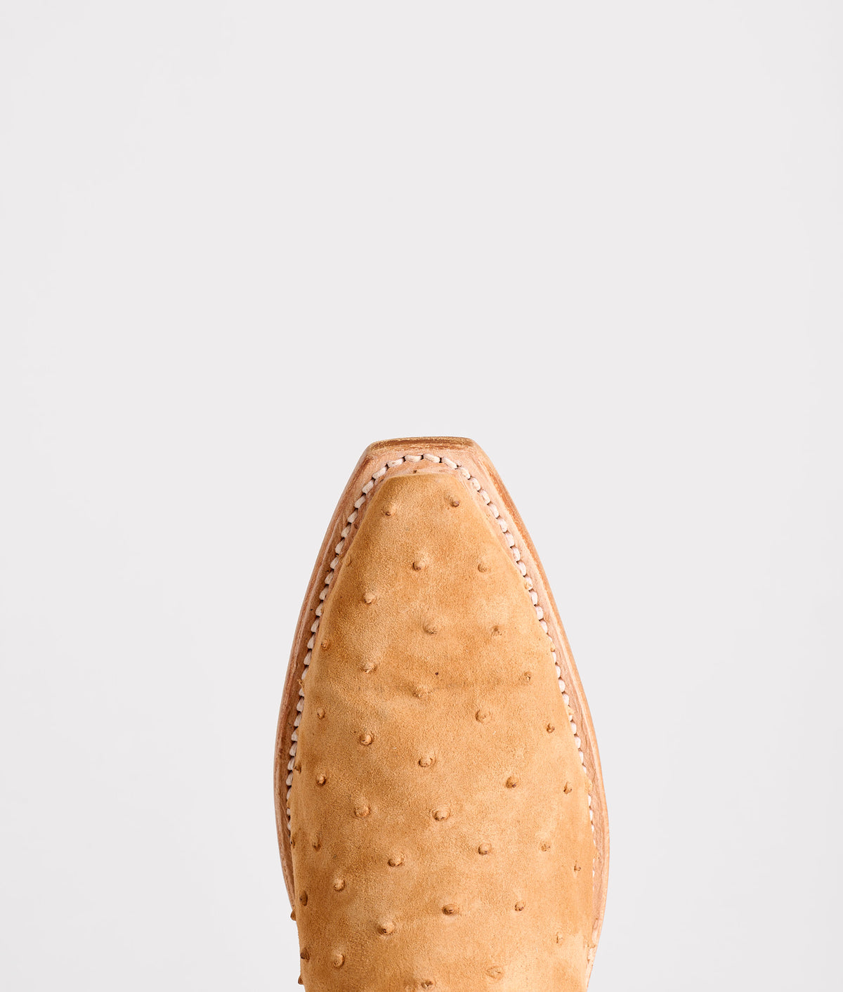 Sweetheart :: Brandy 8