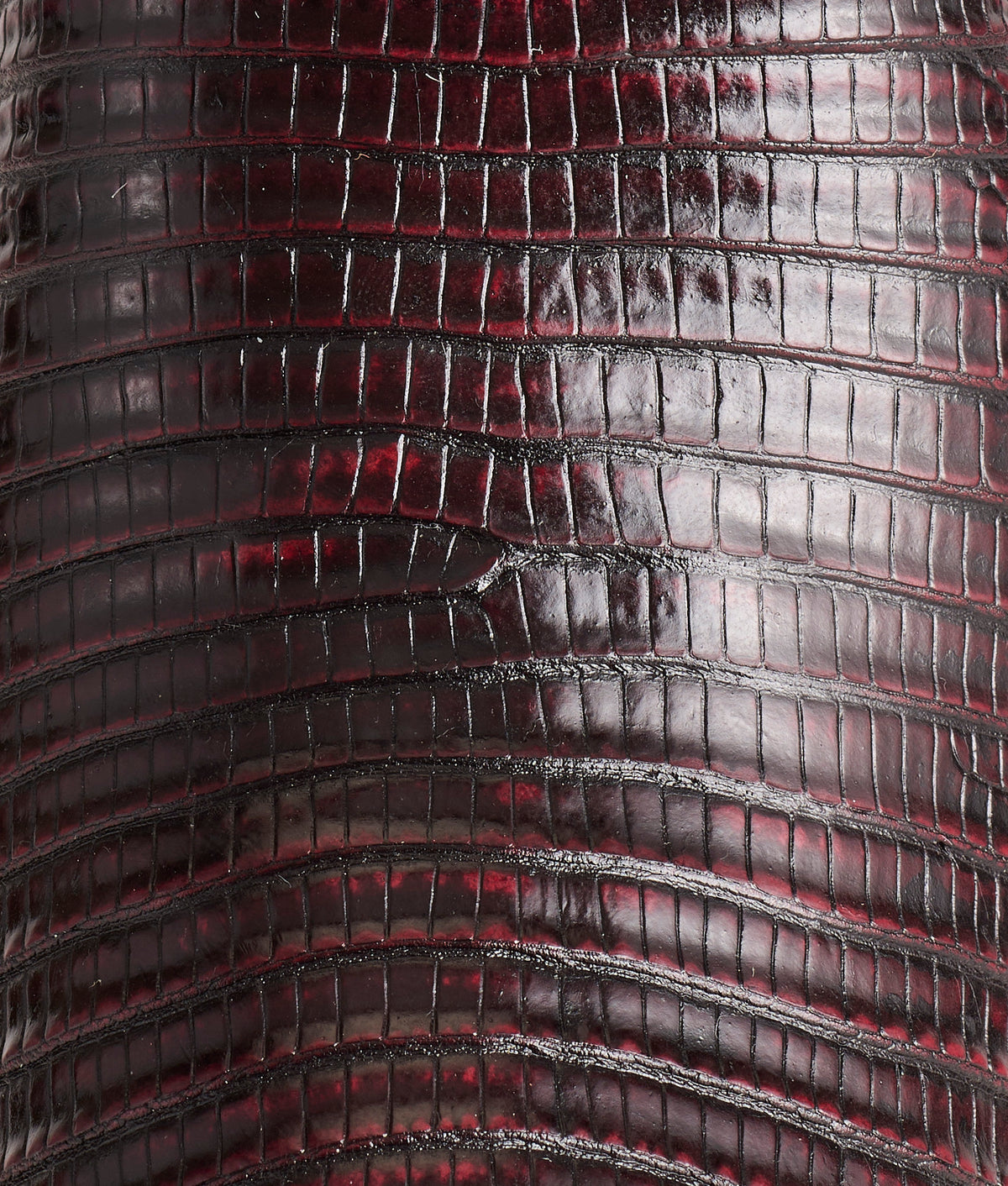 Priscilla Exotic :: Black Cherry 10