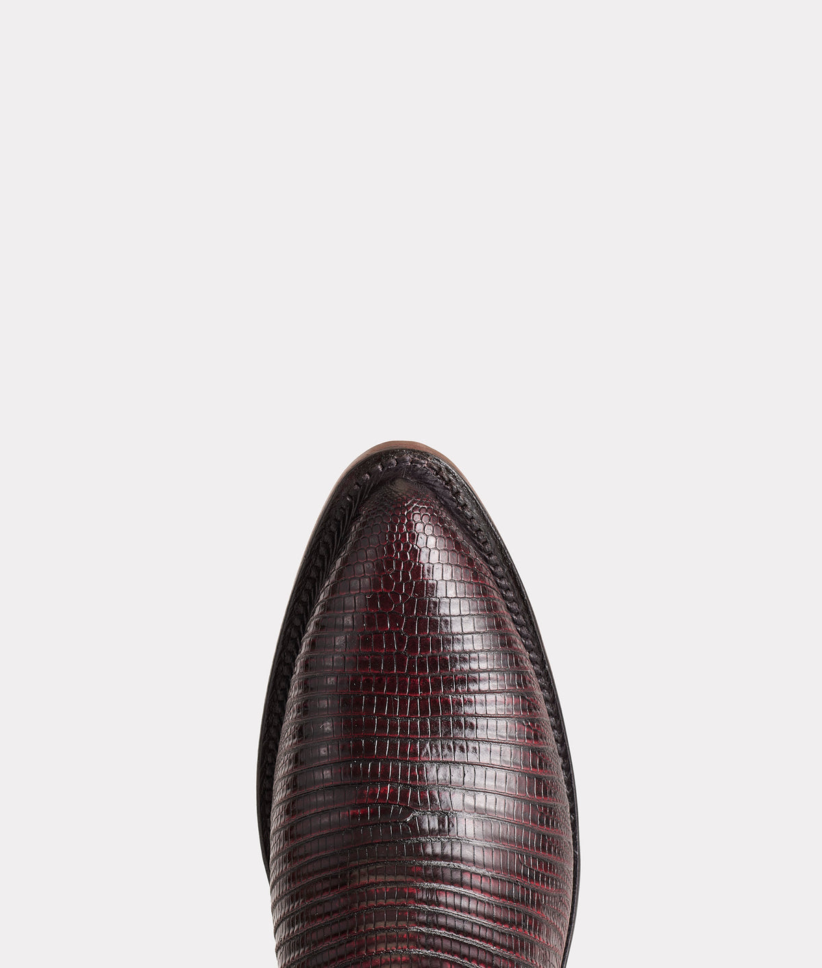 Priscilla Exotic :: Black Cherry 5