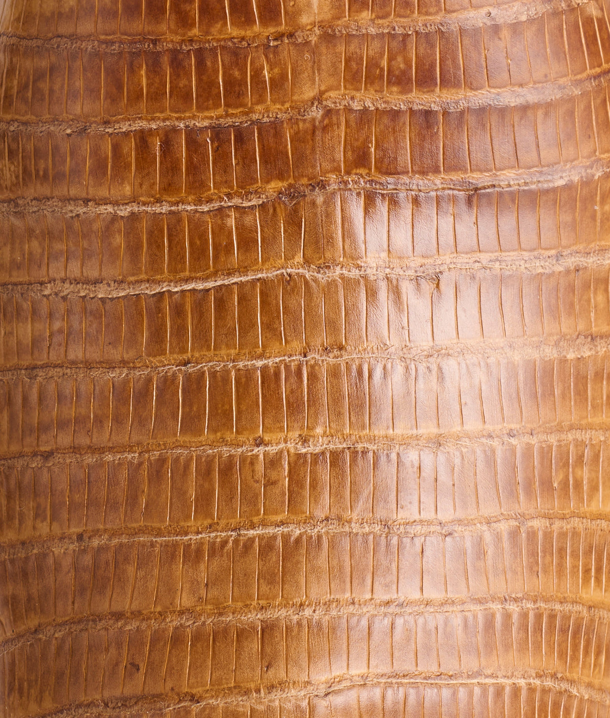 Priscilla Exotic :: Tan 10