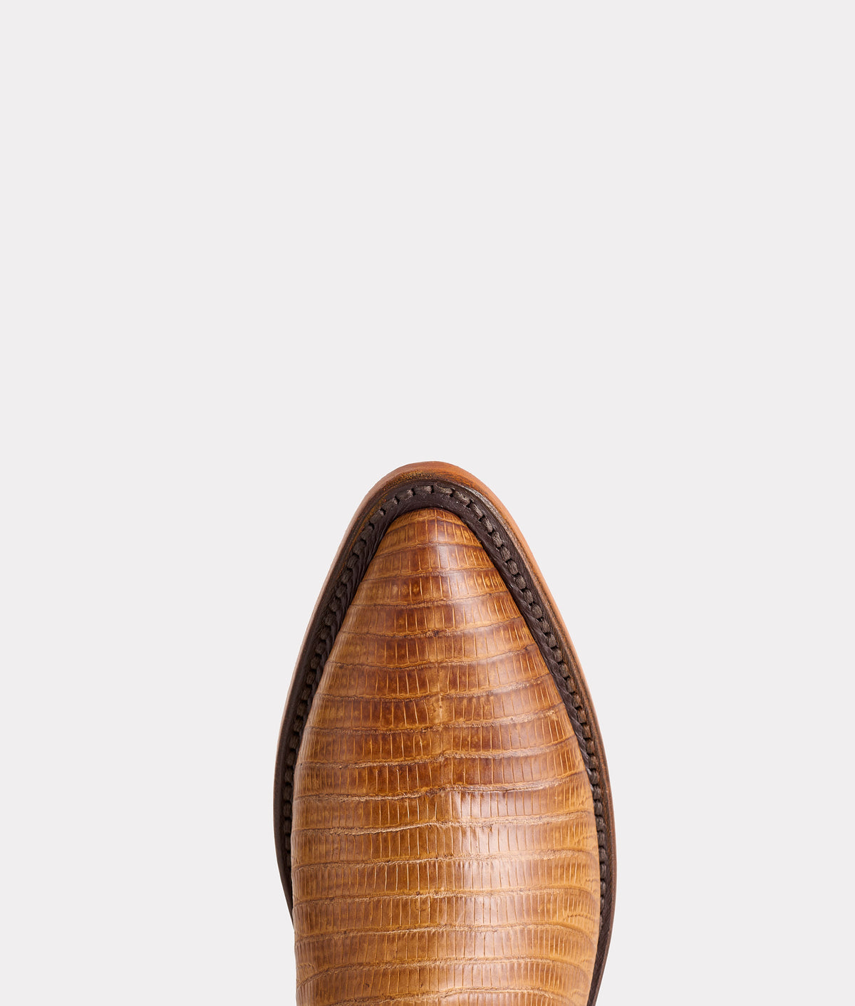 Priscilla Exotic :: Tan 7