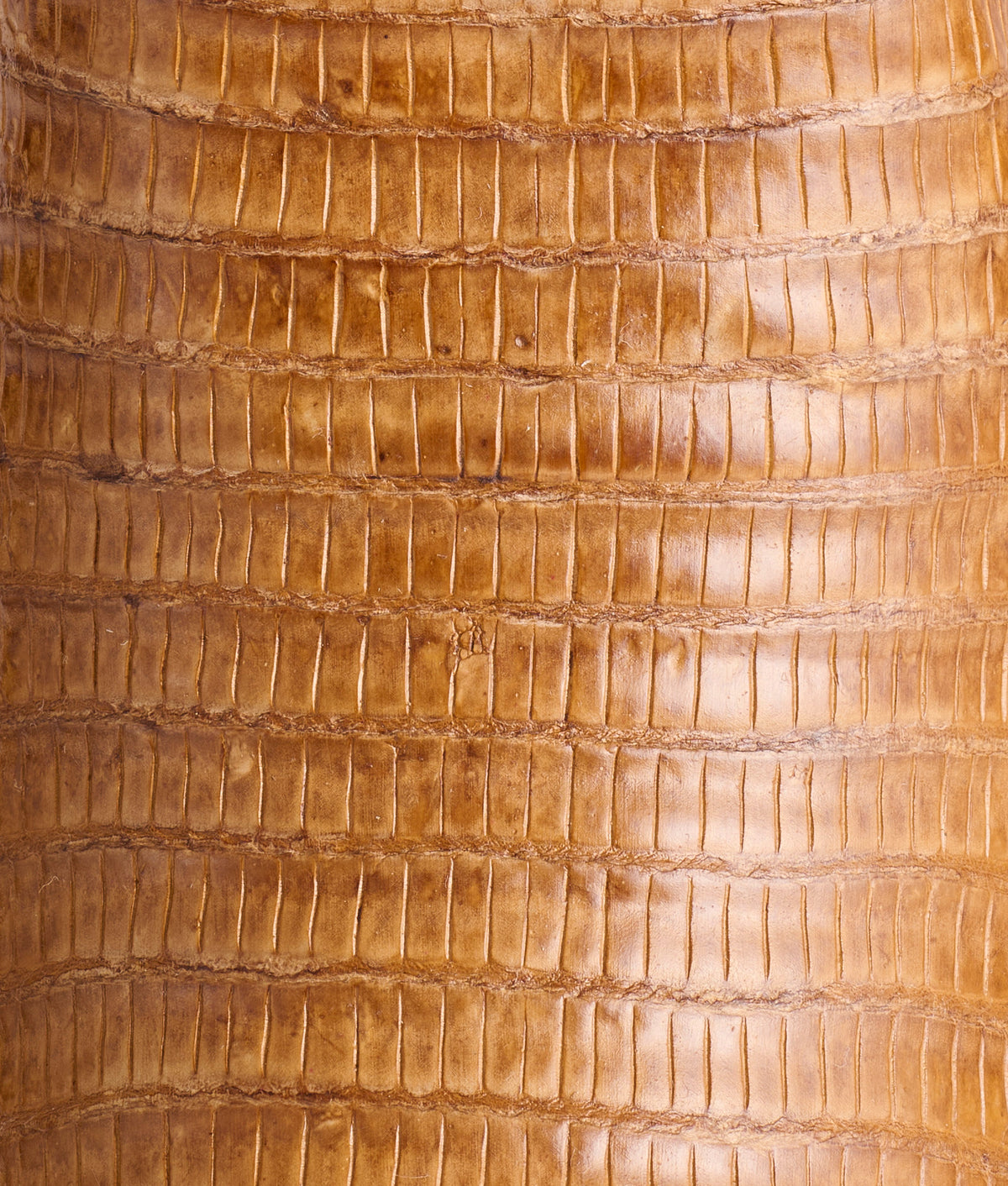 Tilly Exotic :: Tan 10