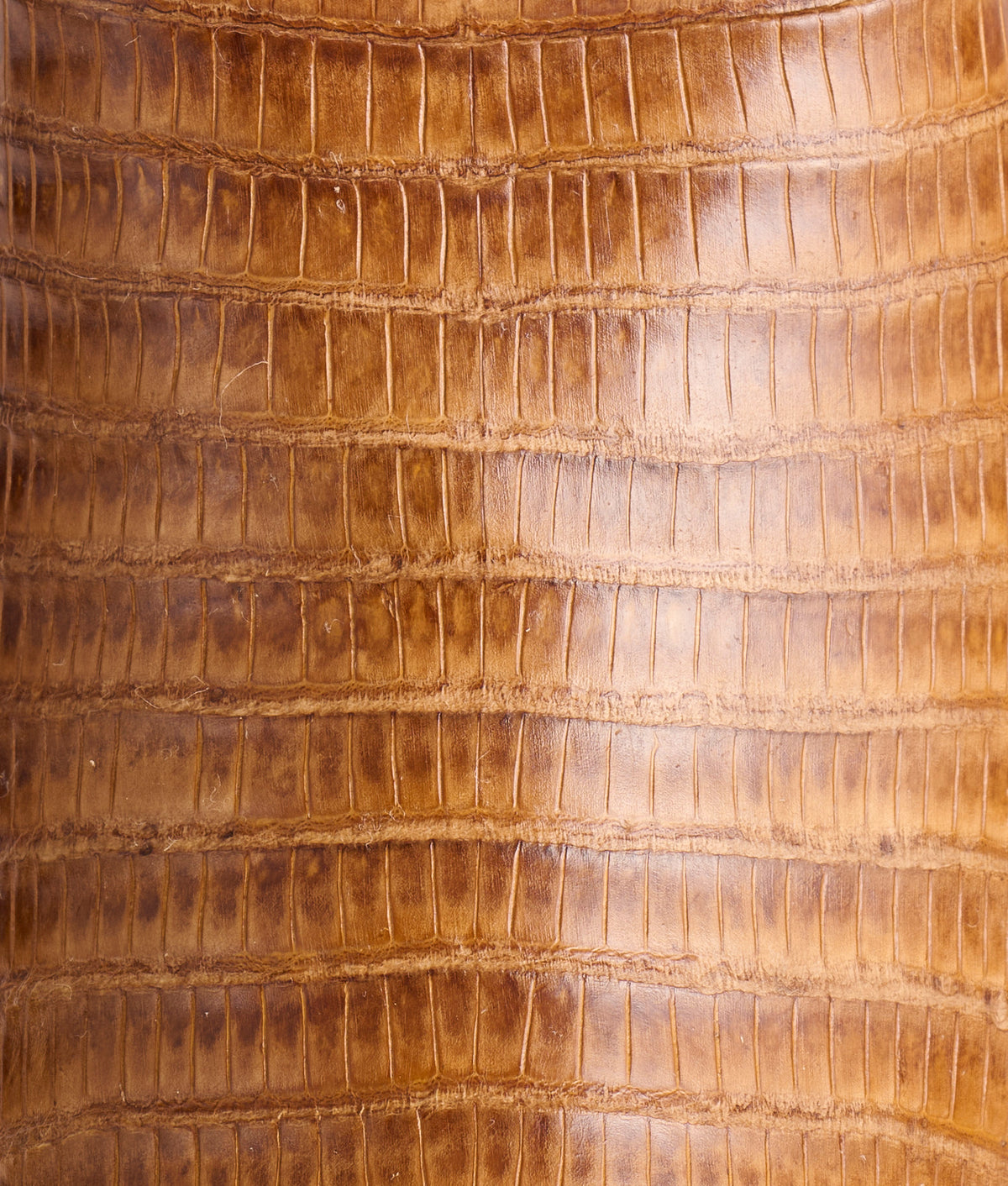 Dale Exotic :: Tan 10