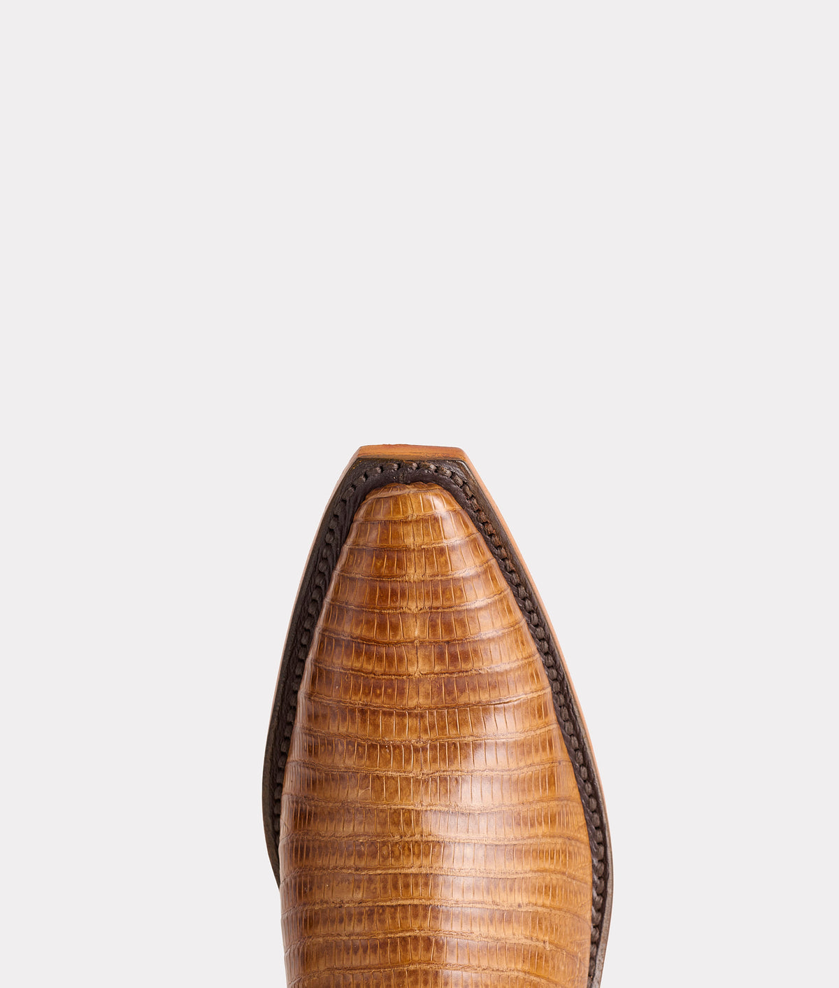 Dale Exotic :: Tan 7