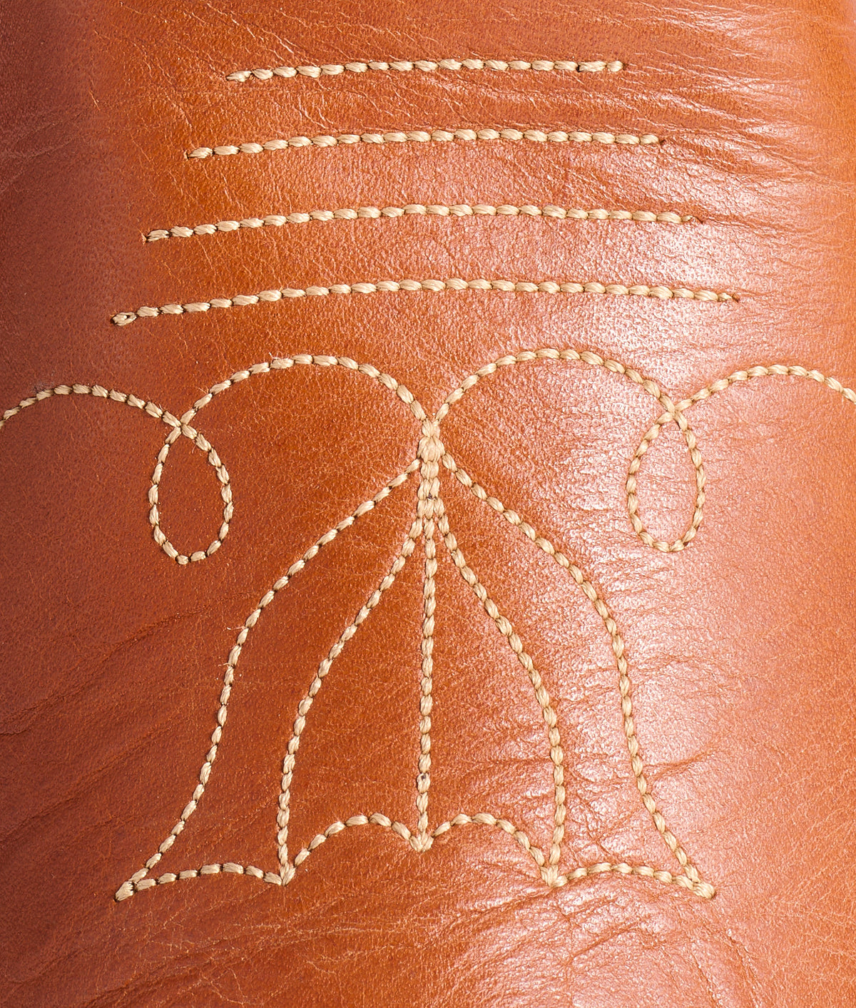 Roadrunner :: Cognac 8