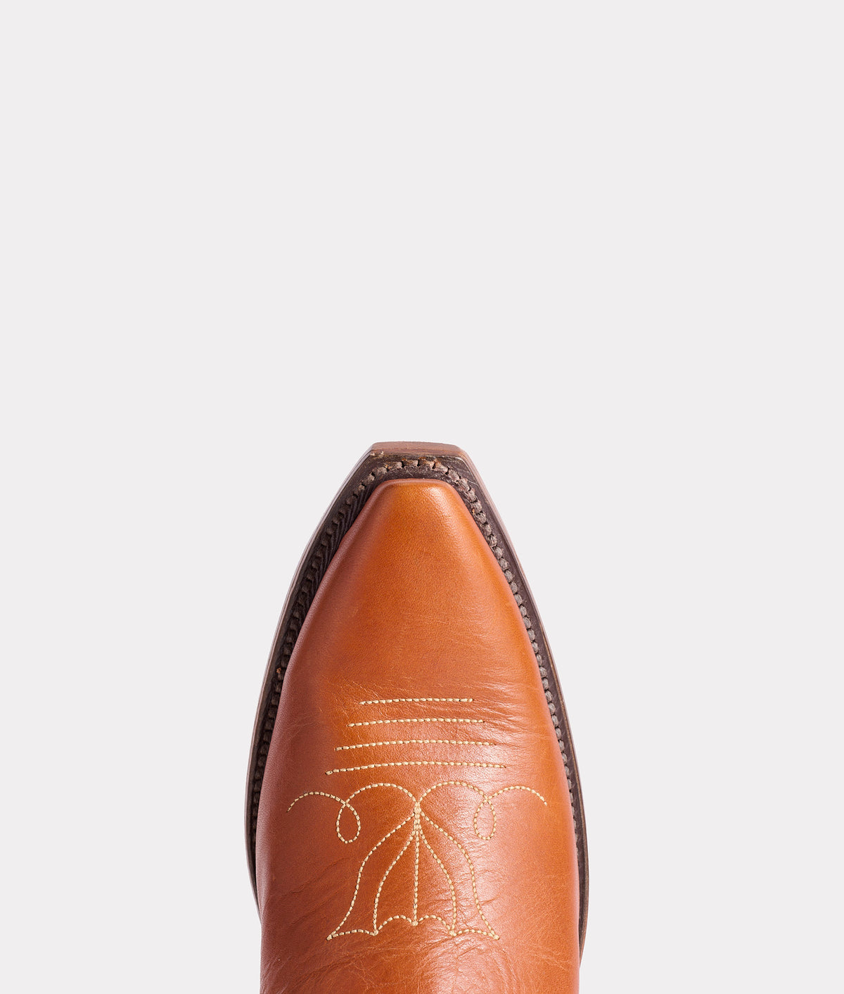 Roadrunner :: Cognac 7