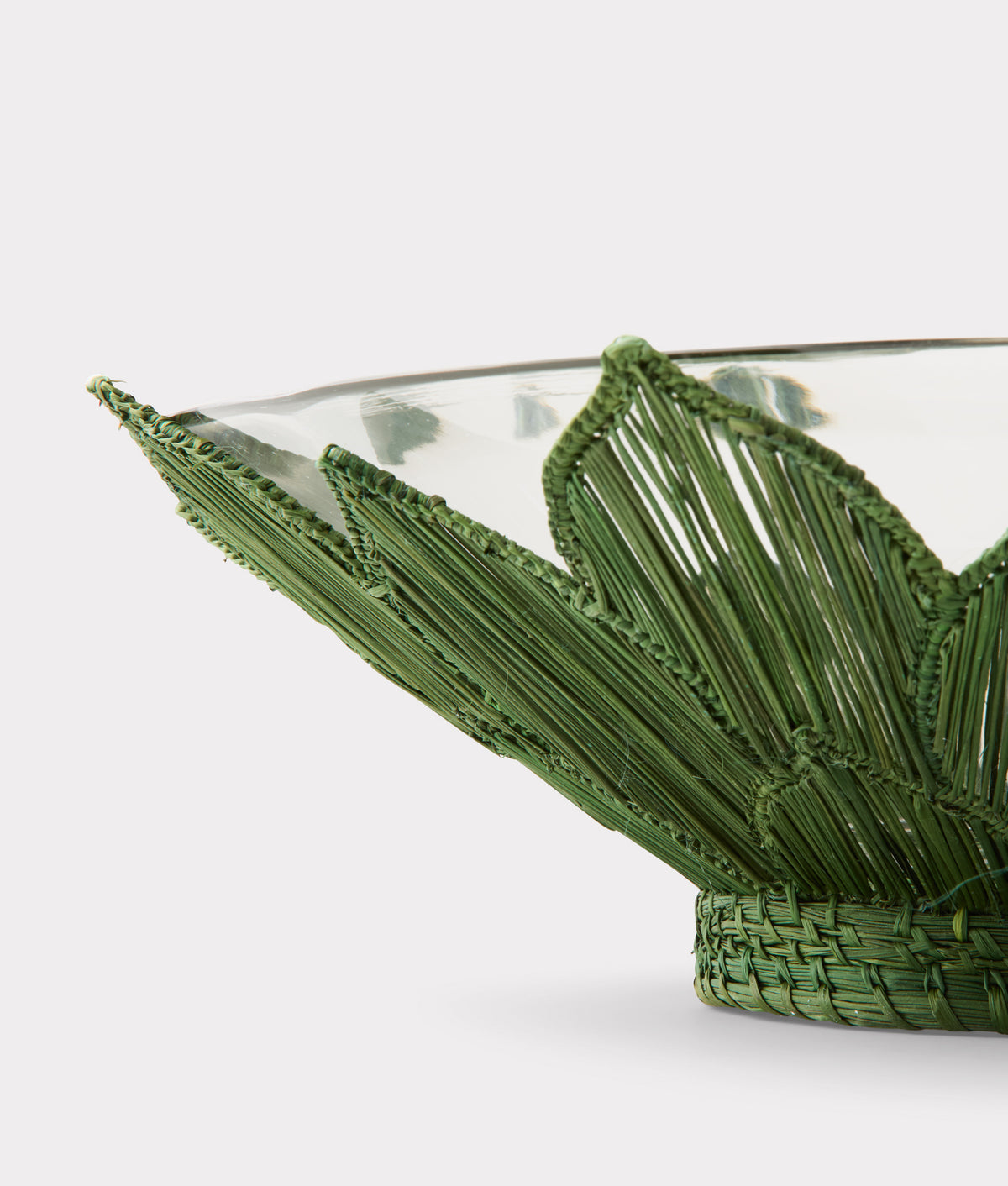 Agave Salad Bowl Set:: Green 2