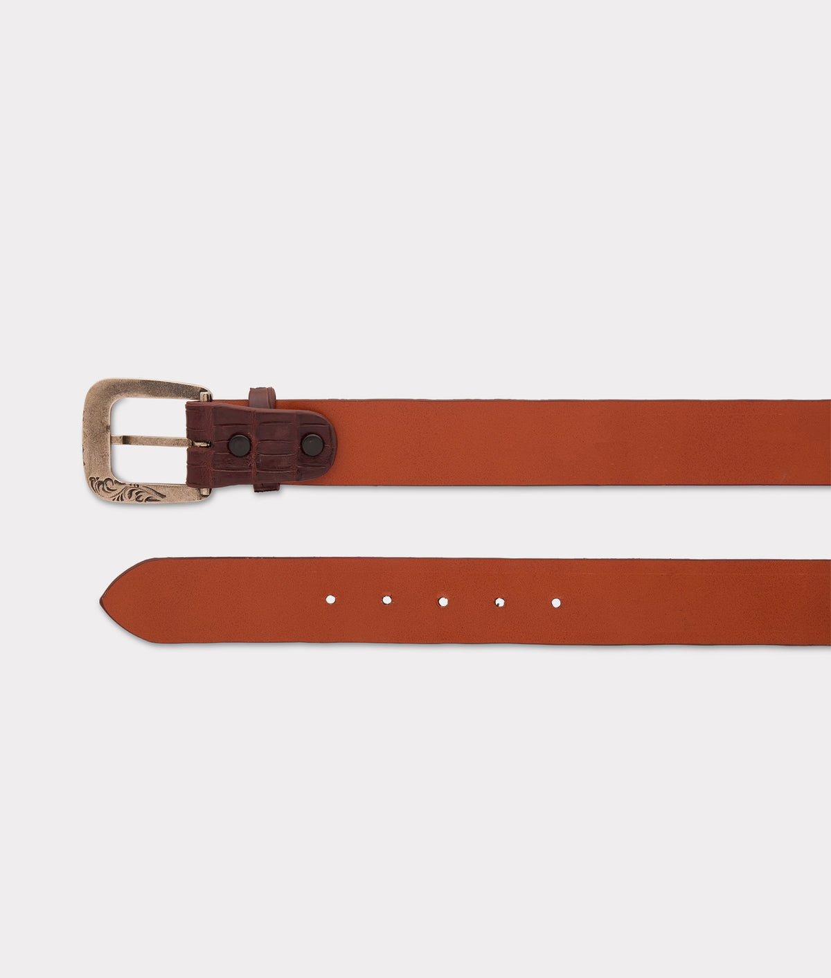 Ultra Belly Caiman :: Sienna 4