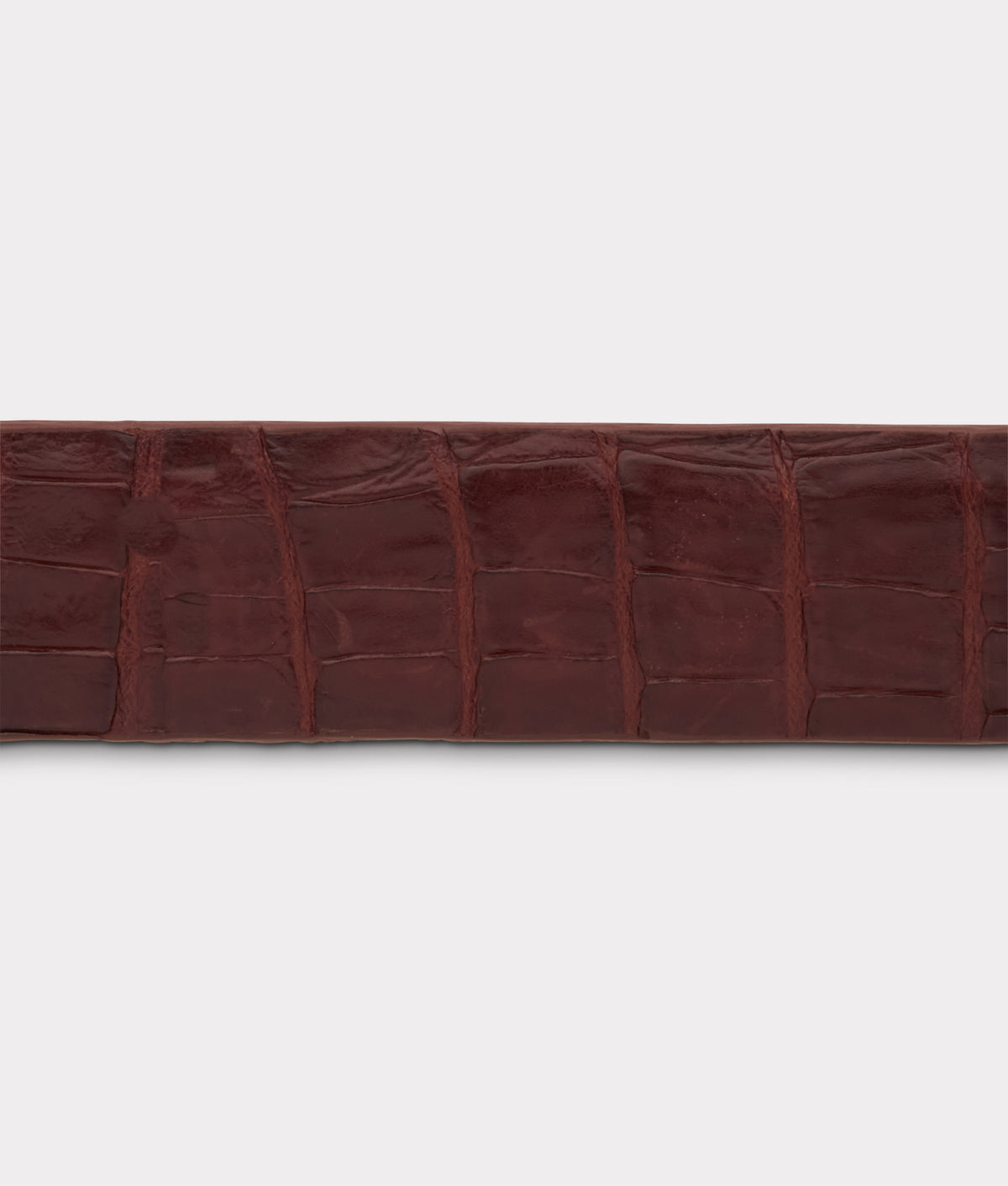 Ultra Belly Caiman :: Sienna 6