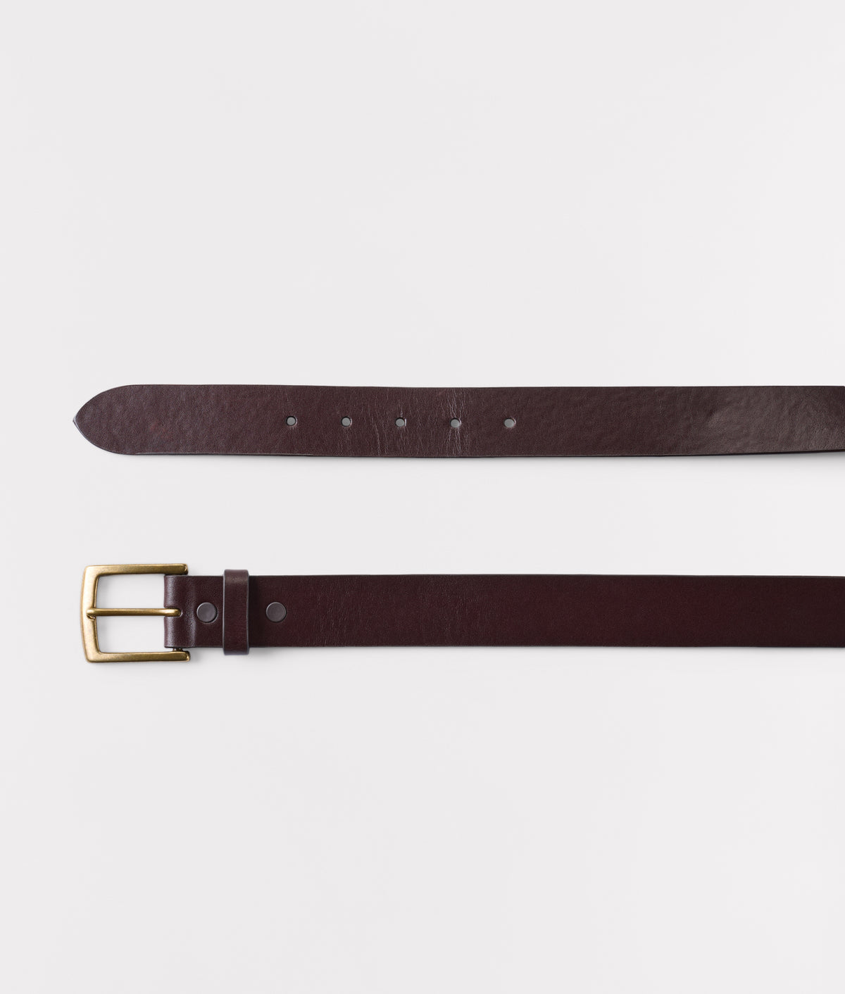 Pronto Belt :: Brown 3
