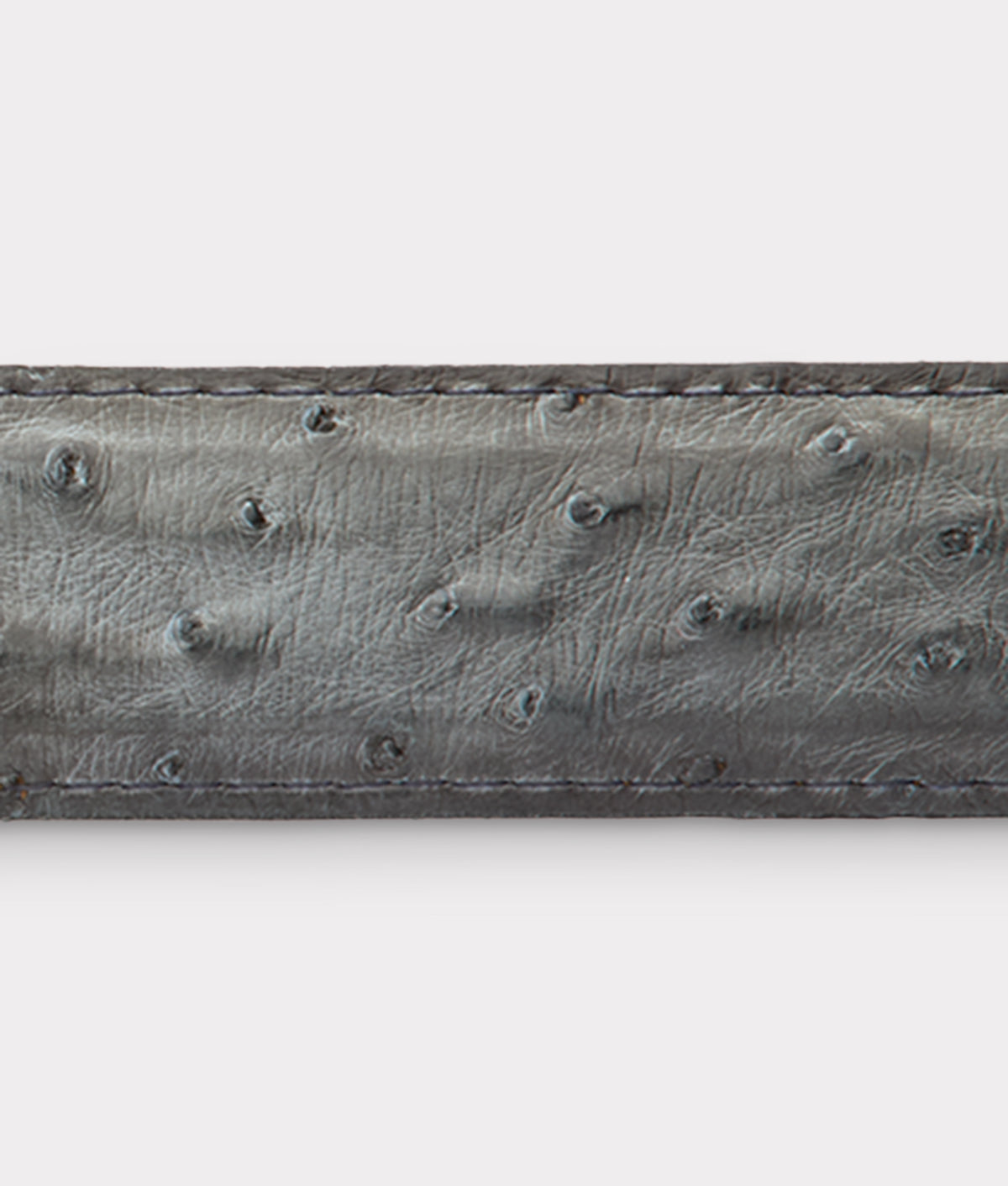 Full Quill Ostrich :: Anthracite Grey 3