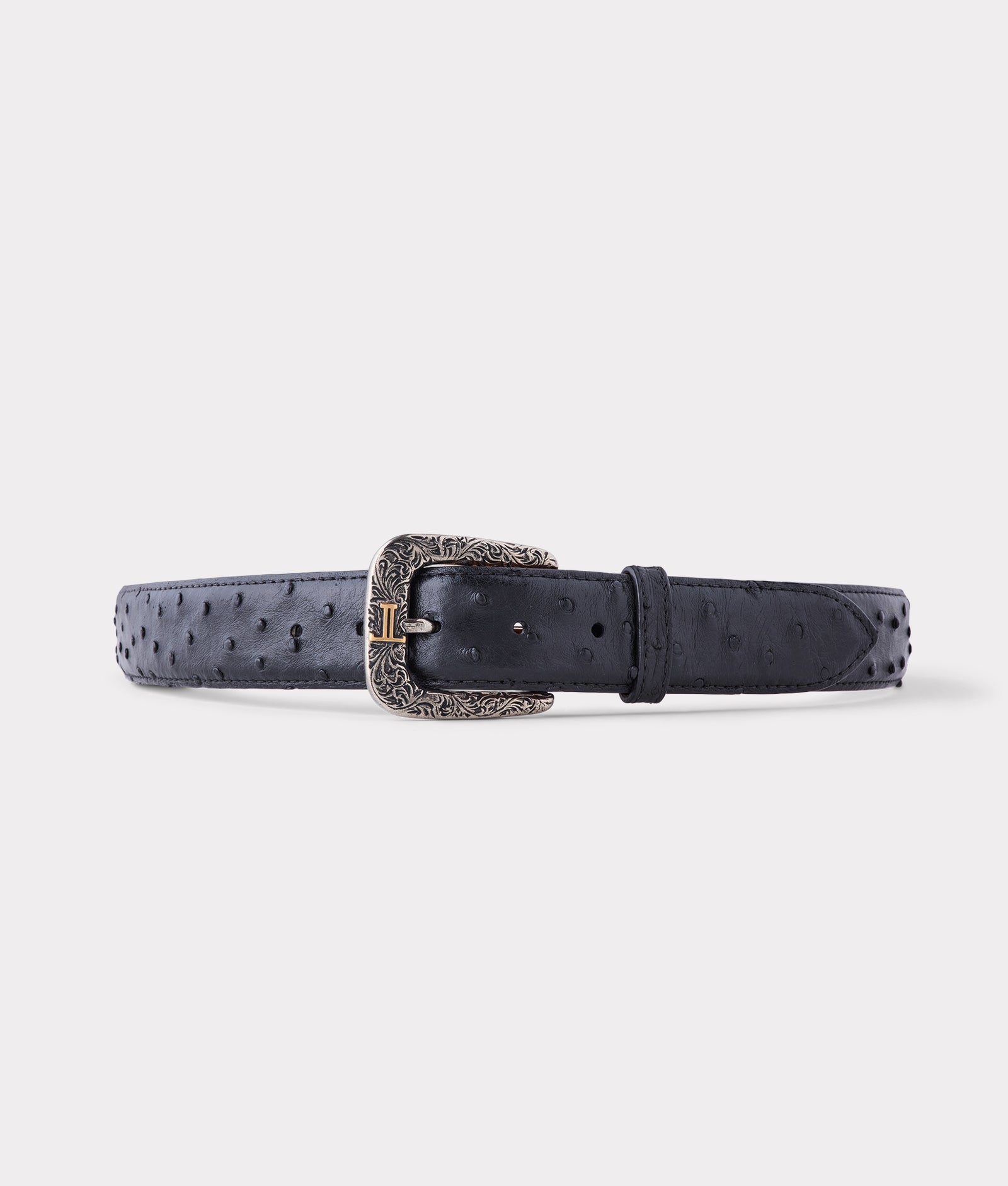 Full Quill Ostrich :: Black product image