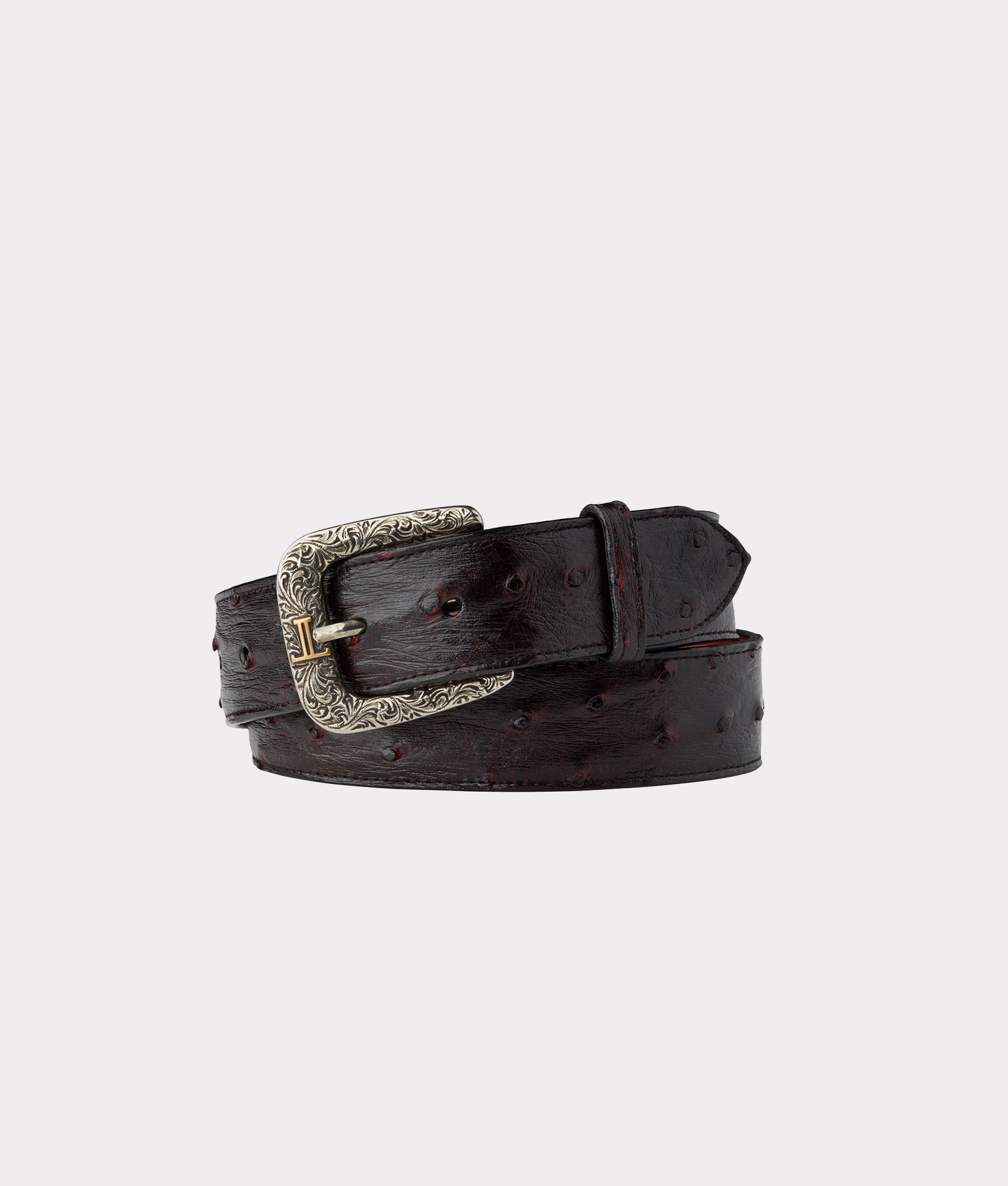Lucchese | Full Quill Ostrich Belt