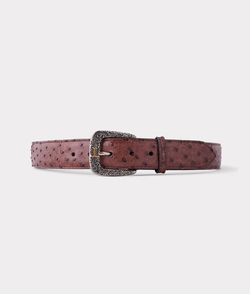 ostrich belts