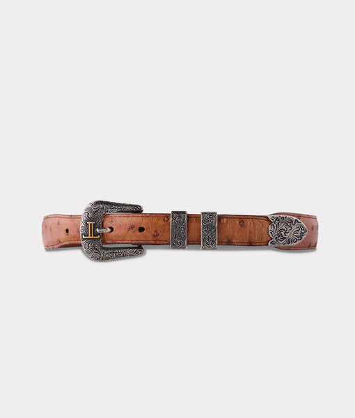 Lucchese | Full Quill Ostrich Tapered Belt - Barnwood 36