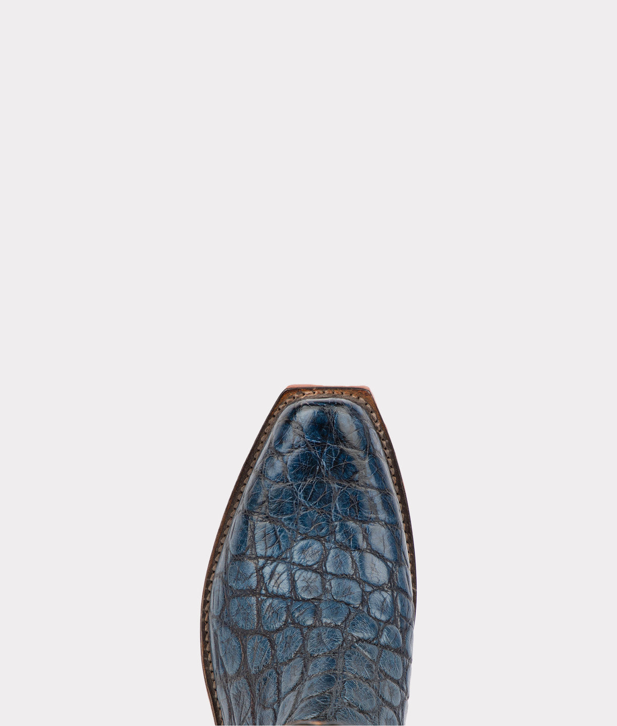 Johannes :: Navy + Peanut Brittle 6