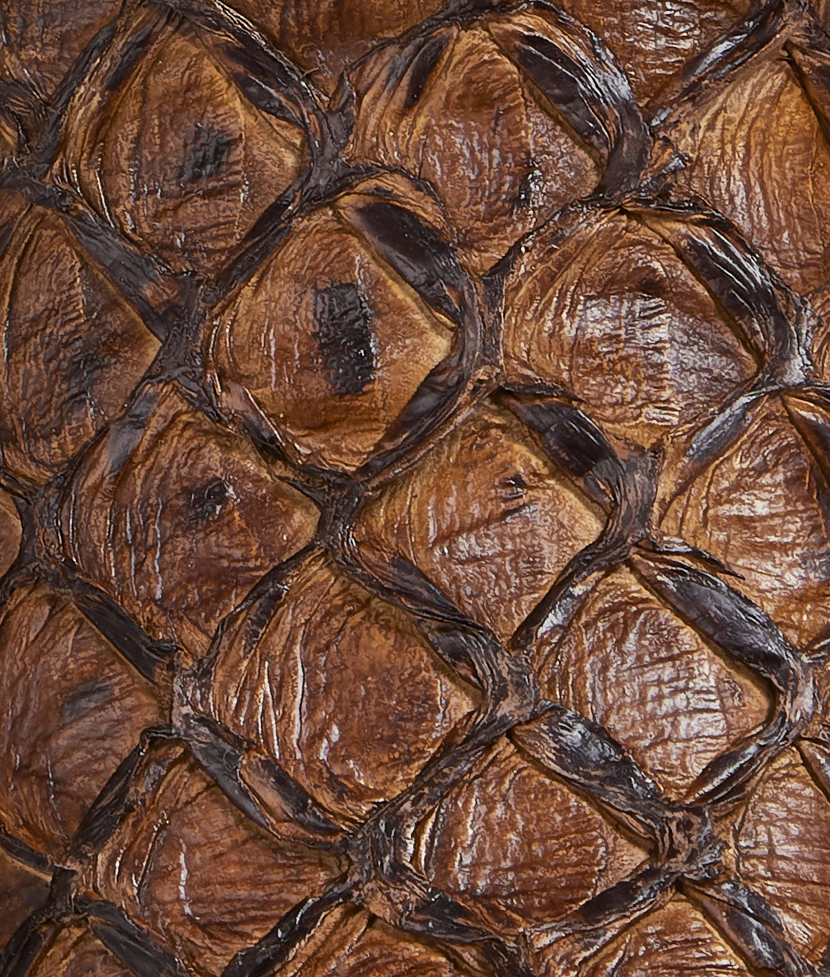 Narcisso :: Cafe Brown 9