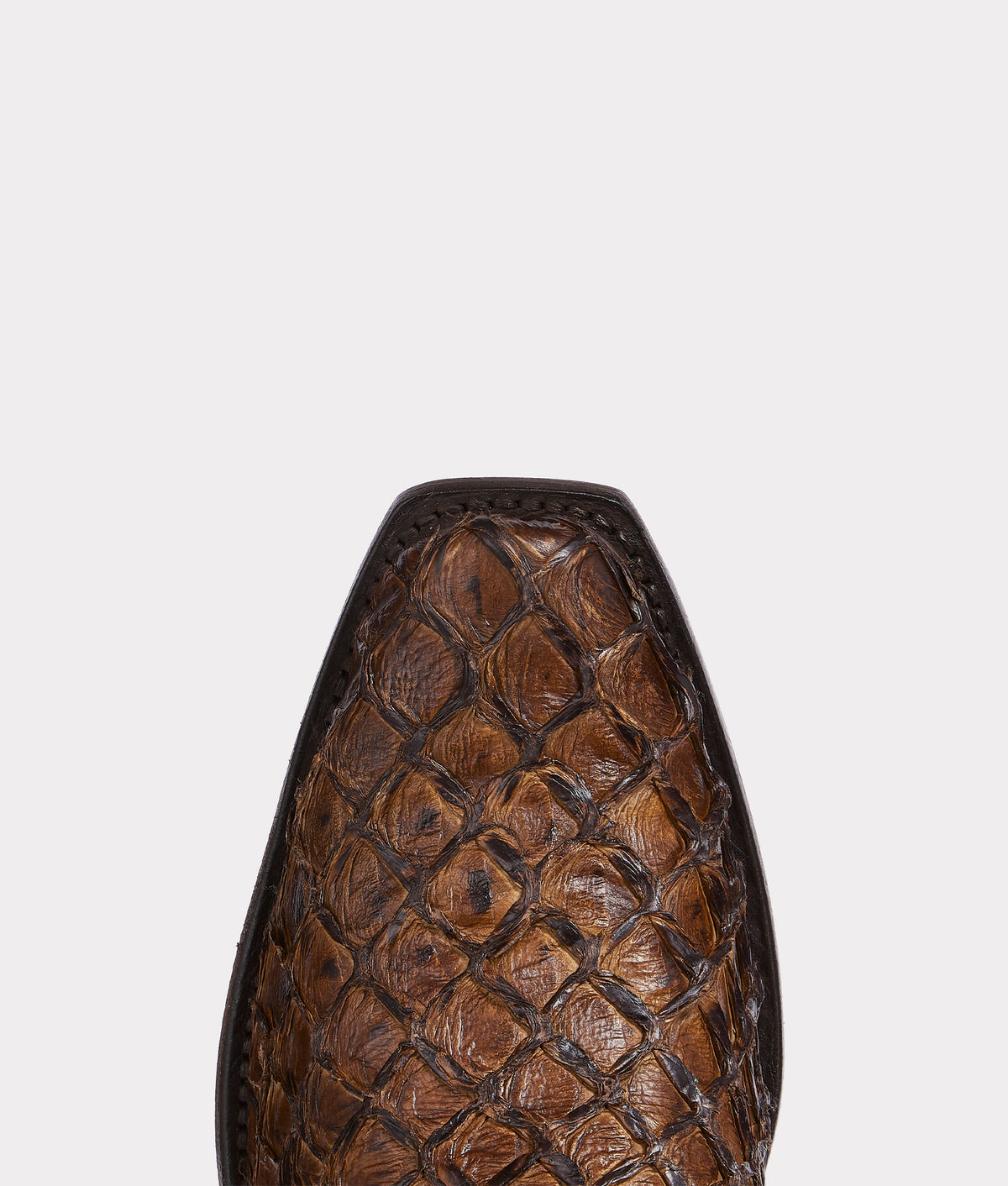 Narcisso :: Cafe Brown 8