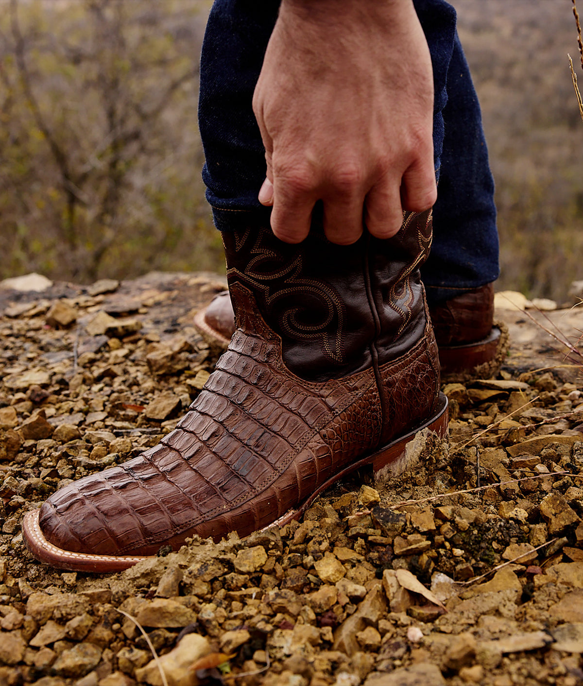 Haan :: Tan + Chocolate 9